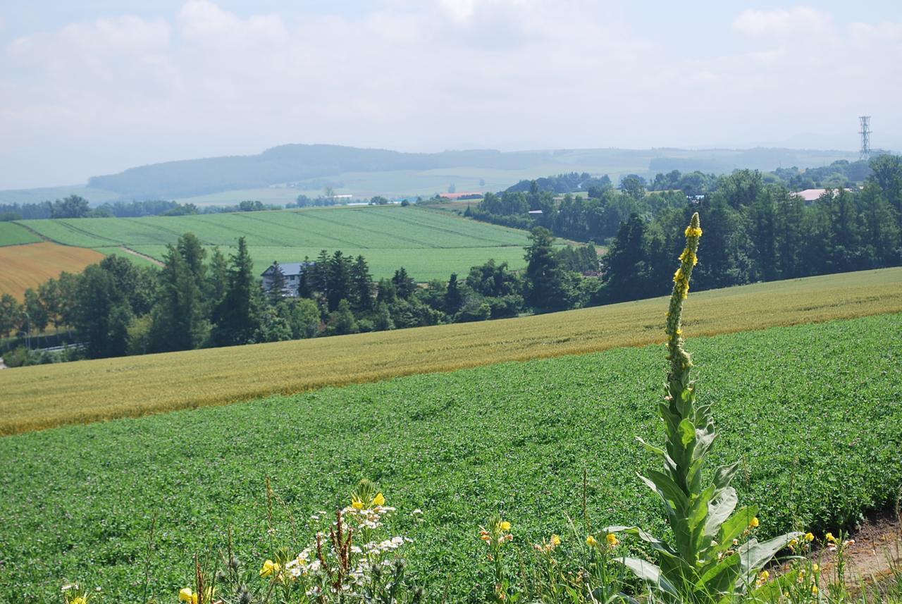 Auberge Ninguruforet Biei Buitenkant foto